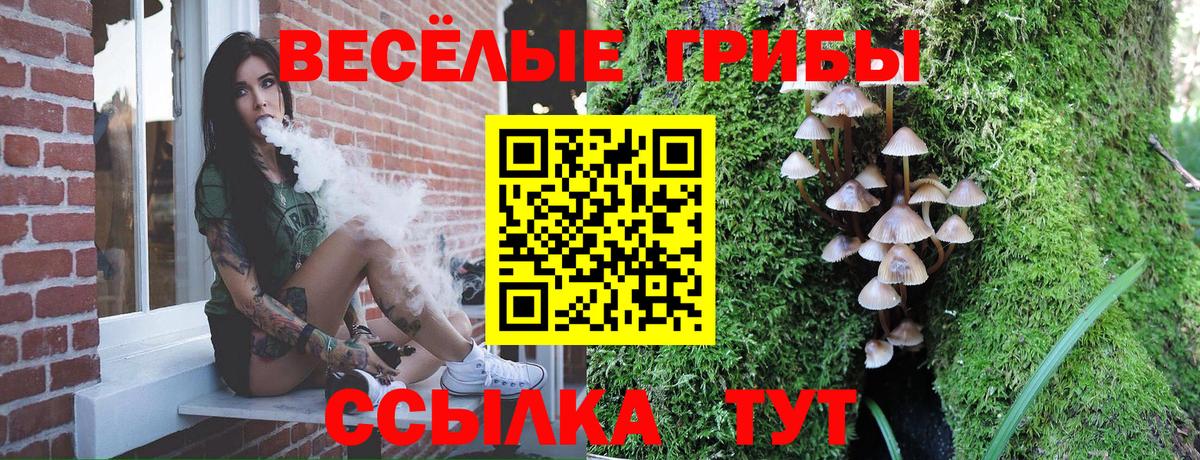 Оренбург  Псилоцибиновые грибы Psilocybe  Вход с VPN 